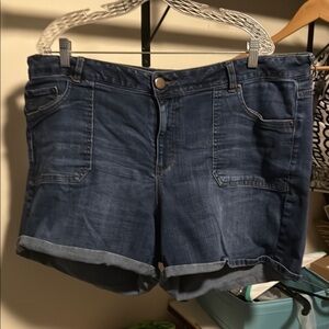 Lane Bryant Casual Blue Jean Shorts Size 22